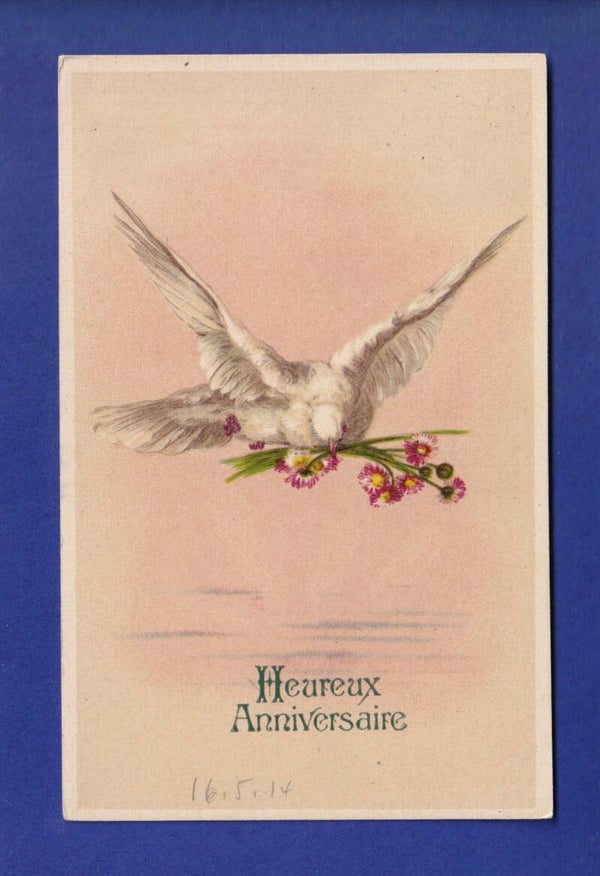 OISEAU - Colombe