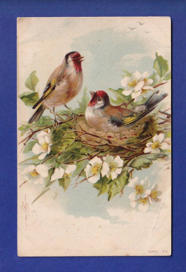 OISEAU // pli //