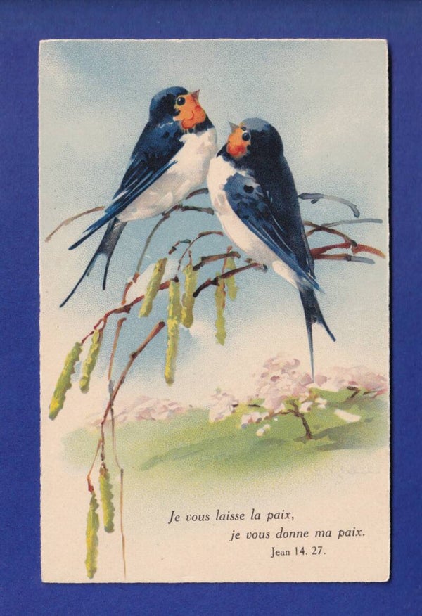 OISEAU - Hirondelles - Verset par Klein