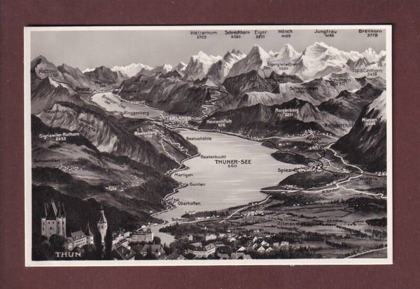 THUN und Umgebung - Vogelschau