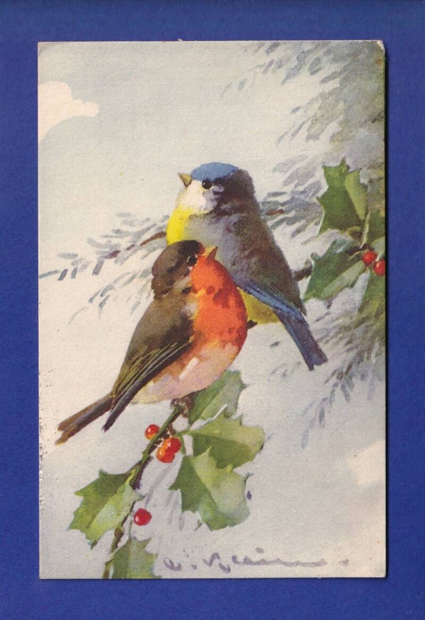 OISEAU - Mésange et Rouge-Gorge par Klein // dos blessé //