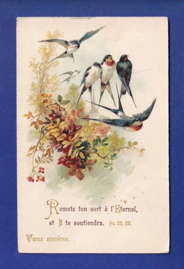 OISEAU - Hirondelles - Verset