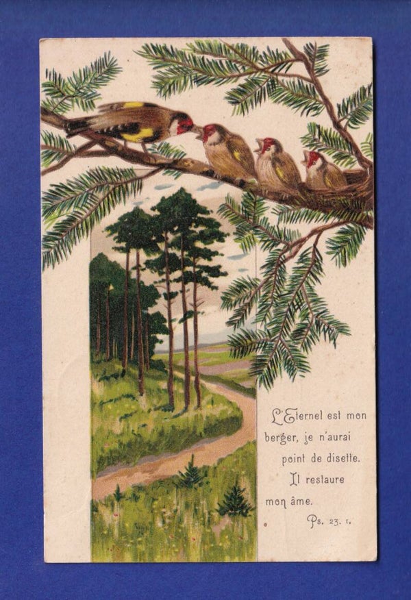OISEAU - Verset