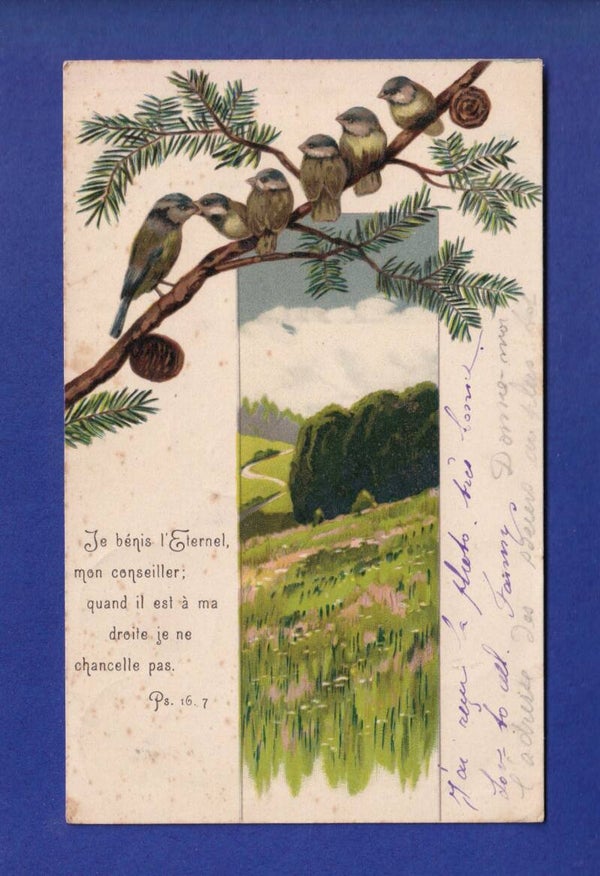 OISEAU - Verset