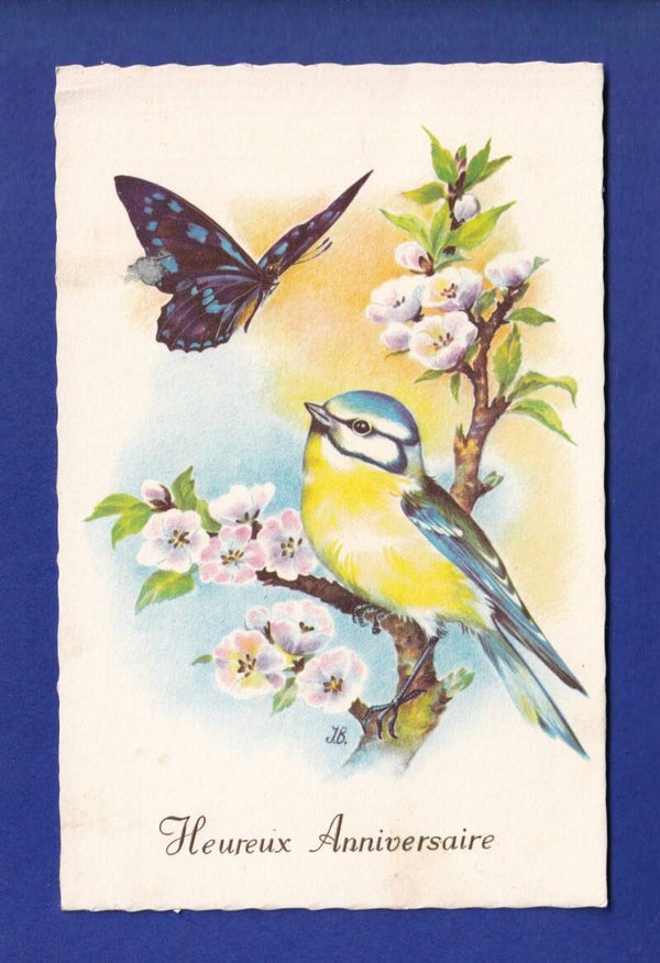 OISEAU - Mésange et Papillon