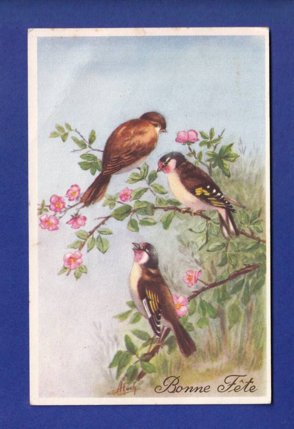 OISEAU // pli //