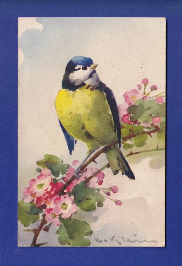 OISEAU - Mésange par Klein