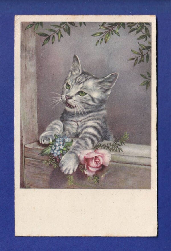 CHAT