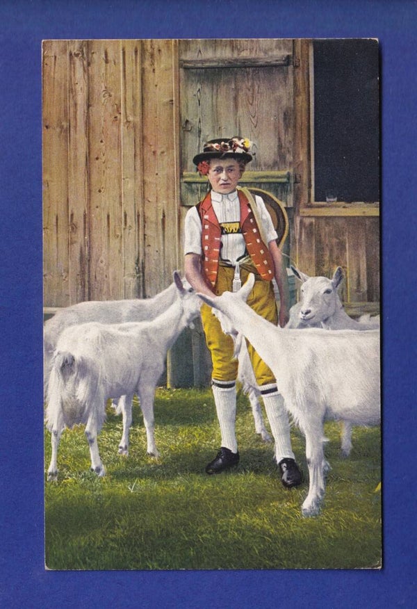CHEVRES / ZIEGEN - Appenzell