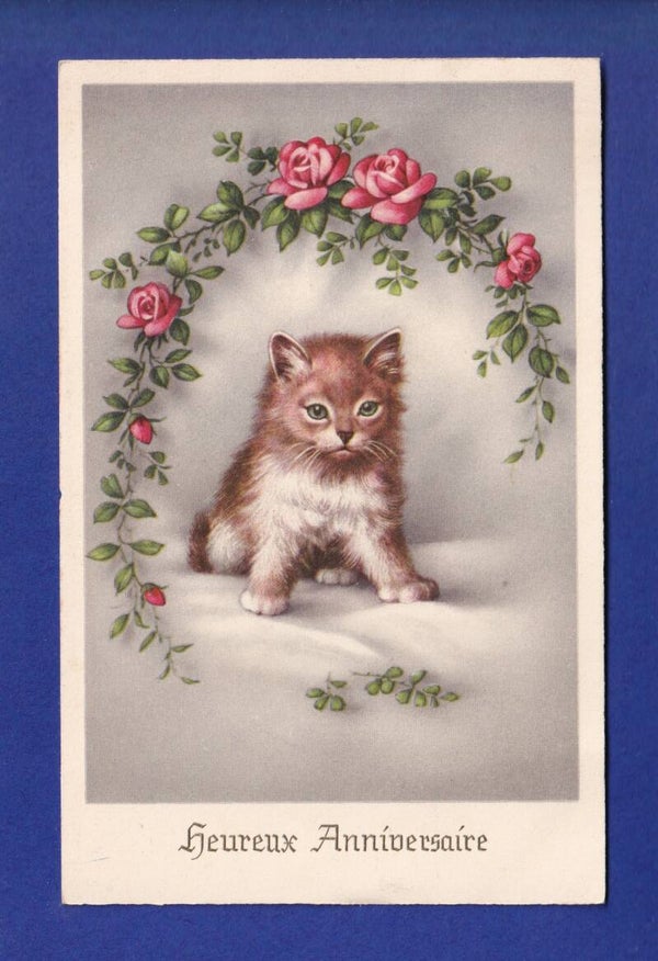 CHAT et roses