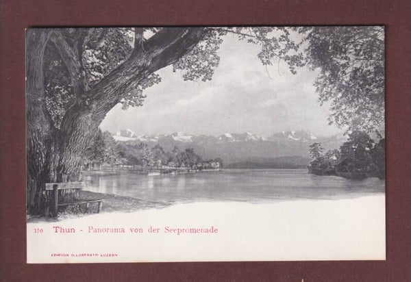 THUN - Panorama von der Seepromenade