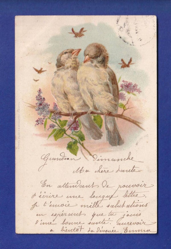 OISEAU - Moineau // pli //