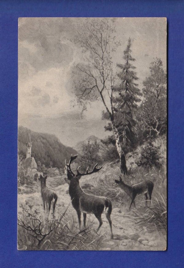 CERF et BICHE