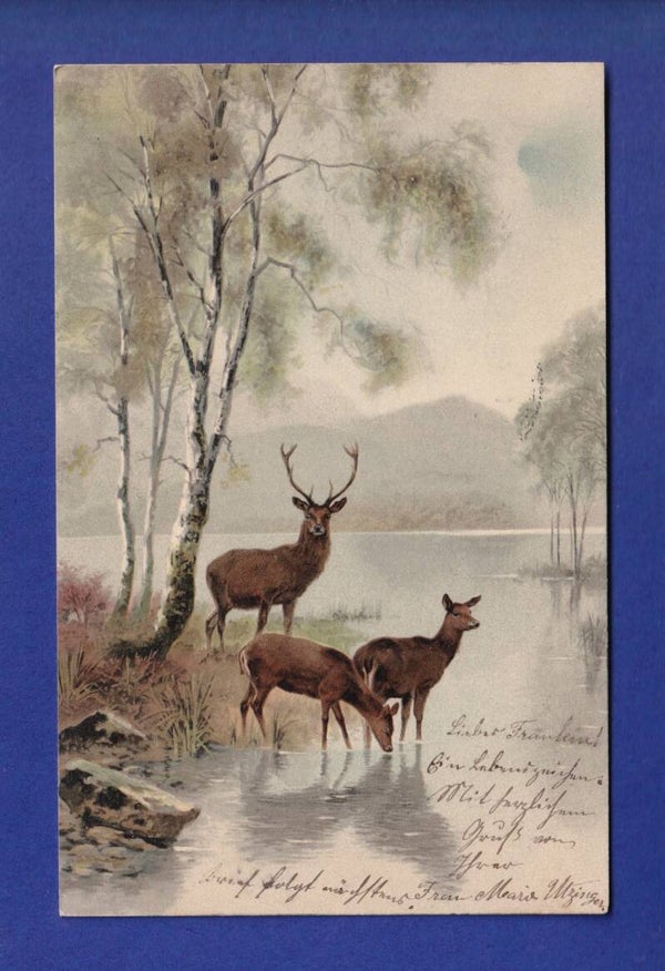 CERF et BICHE