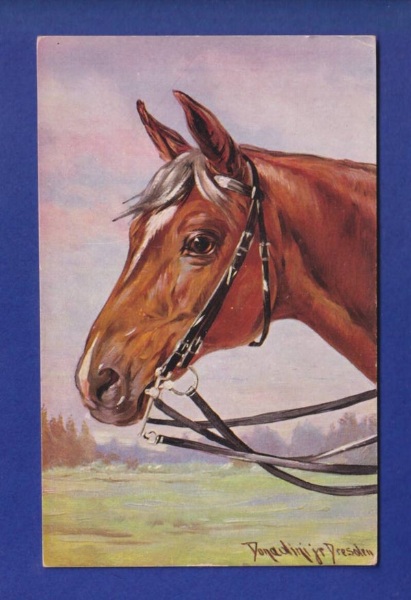 CHEVAL