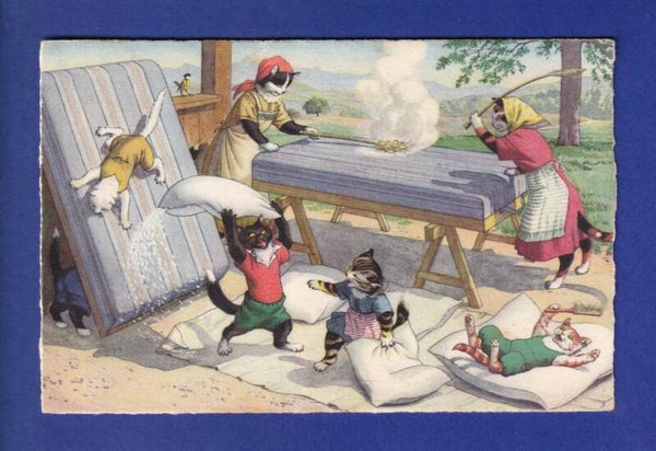 CHAT - Chat humanisés // pli //