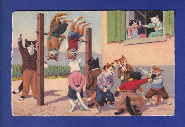 CHAT - Chat humanisés // pli d'angle //