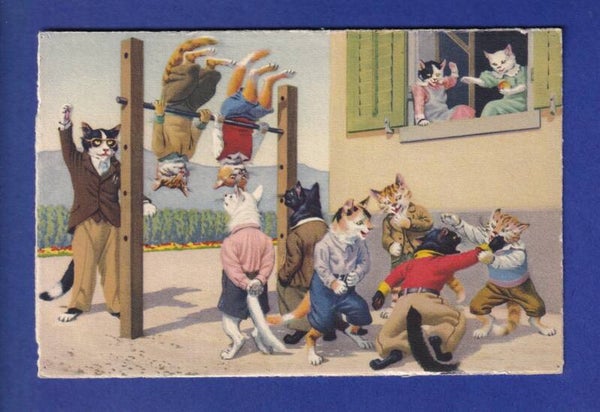 CHAT - Chat humanisés