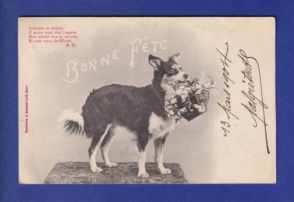 CHIEN - Bonne Fête
