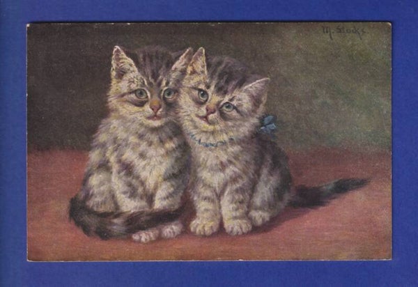 CHAT - Chatons