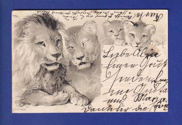 LIONS - Carrte gauffrée