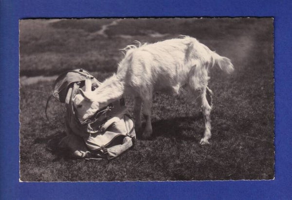 CHEVRE