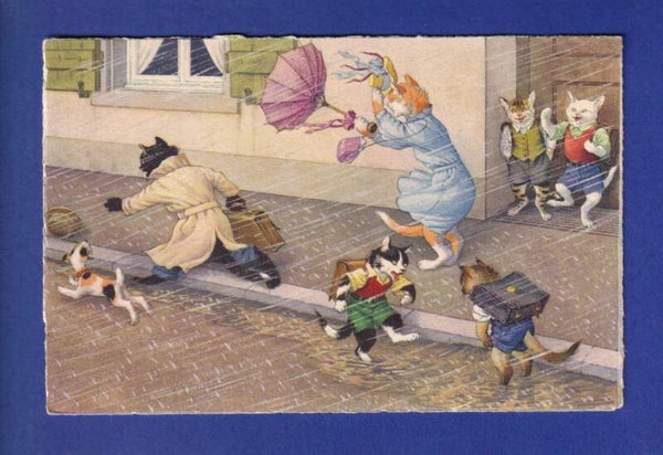 CHAT - Chat humanisés