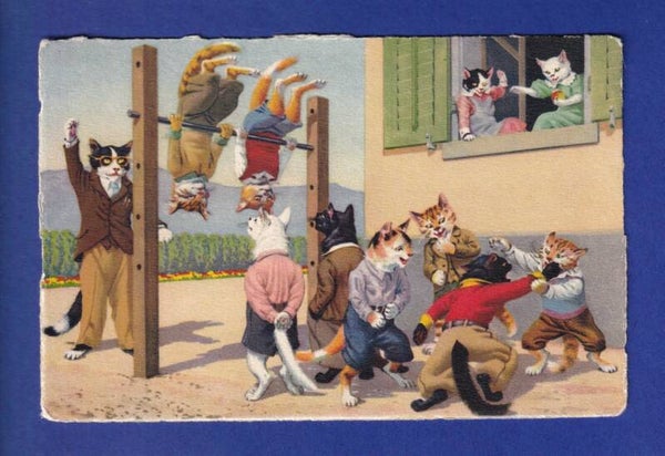CHAT - Chat humanisés