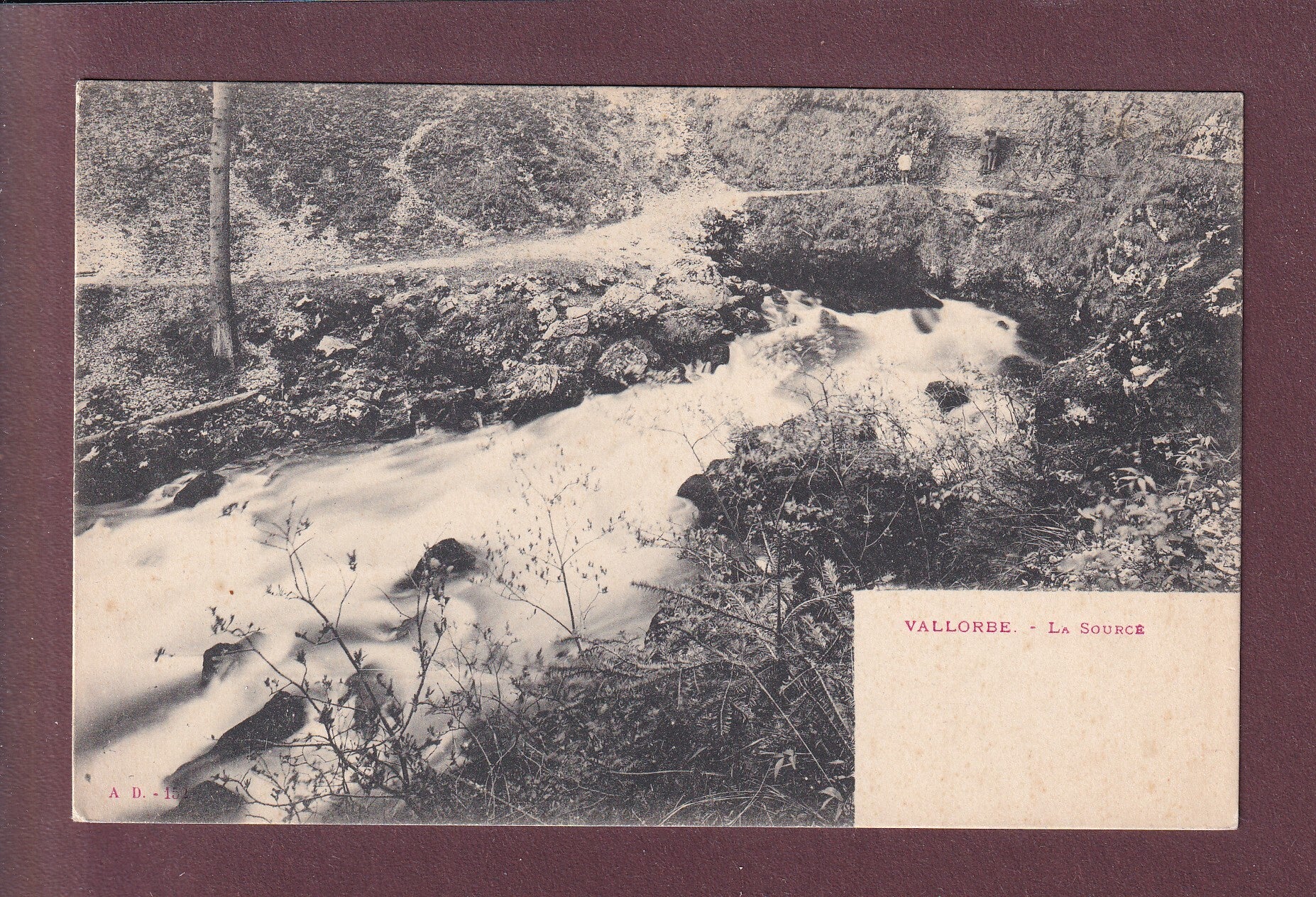 VALLORBE - La source de l'Orbe