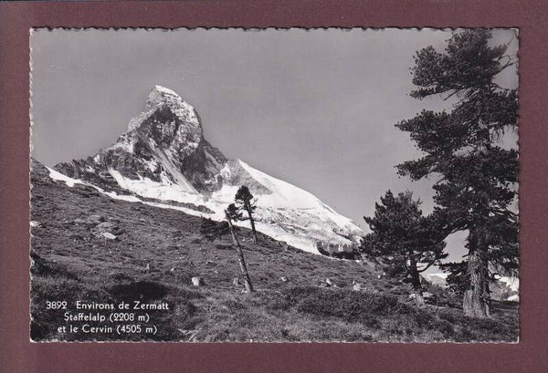 Staffelalp - CERVIN