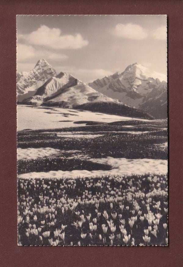 DAVOS - Bergfrühling - 1930