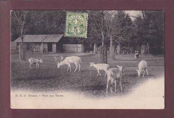GENEVE - Ariana - Parc aux daims - 1907