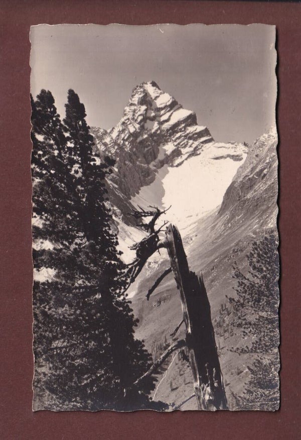 DAVOS - Tinzenhorn - 1929
