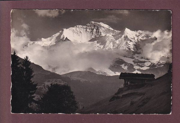 JUNGFRAU - Abendlicht - 1947