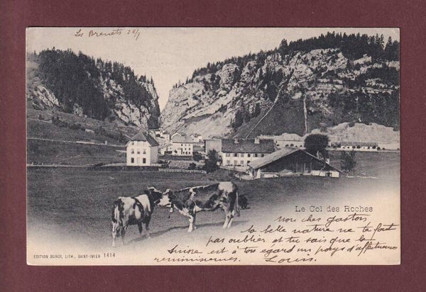 COL DES ROCHES - Vaches - 1901