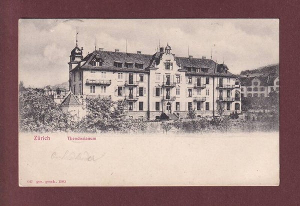 ZÜRICH - Theodosianum - 1904