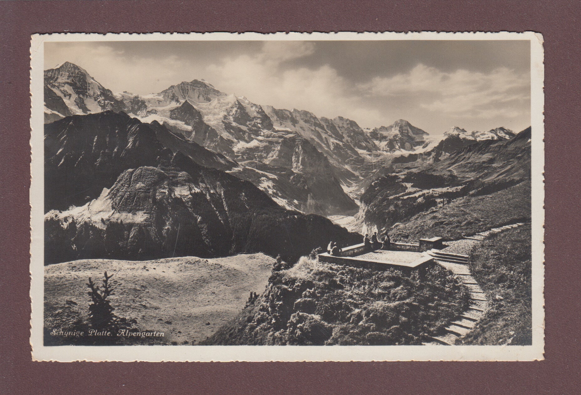 SCHYNIGE PLATTE - Alpengarten - 1931