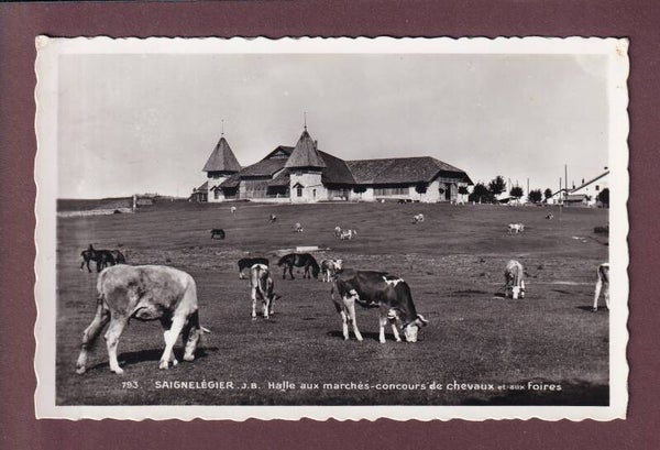 SAIGNELEGIER - Halle aux marchés - Vaches - Feldpost