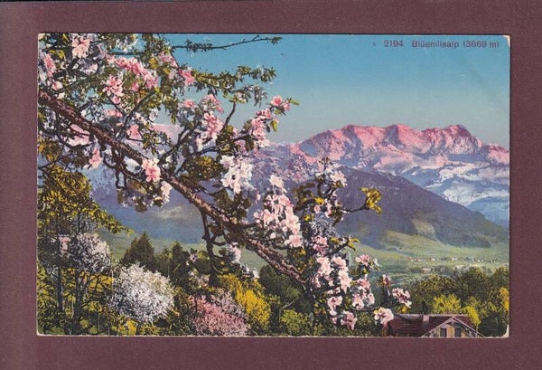 BLÜMLISALP - Frühling