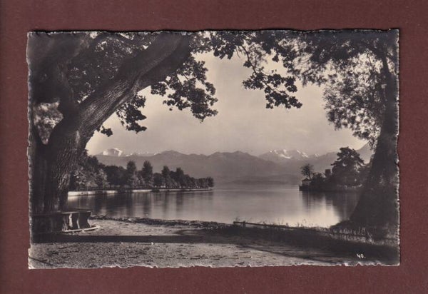 THUN - Panorama und Bächimatt