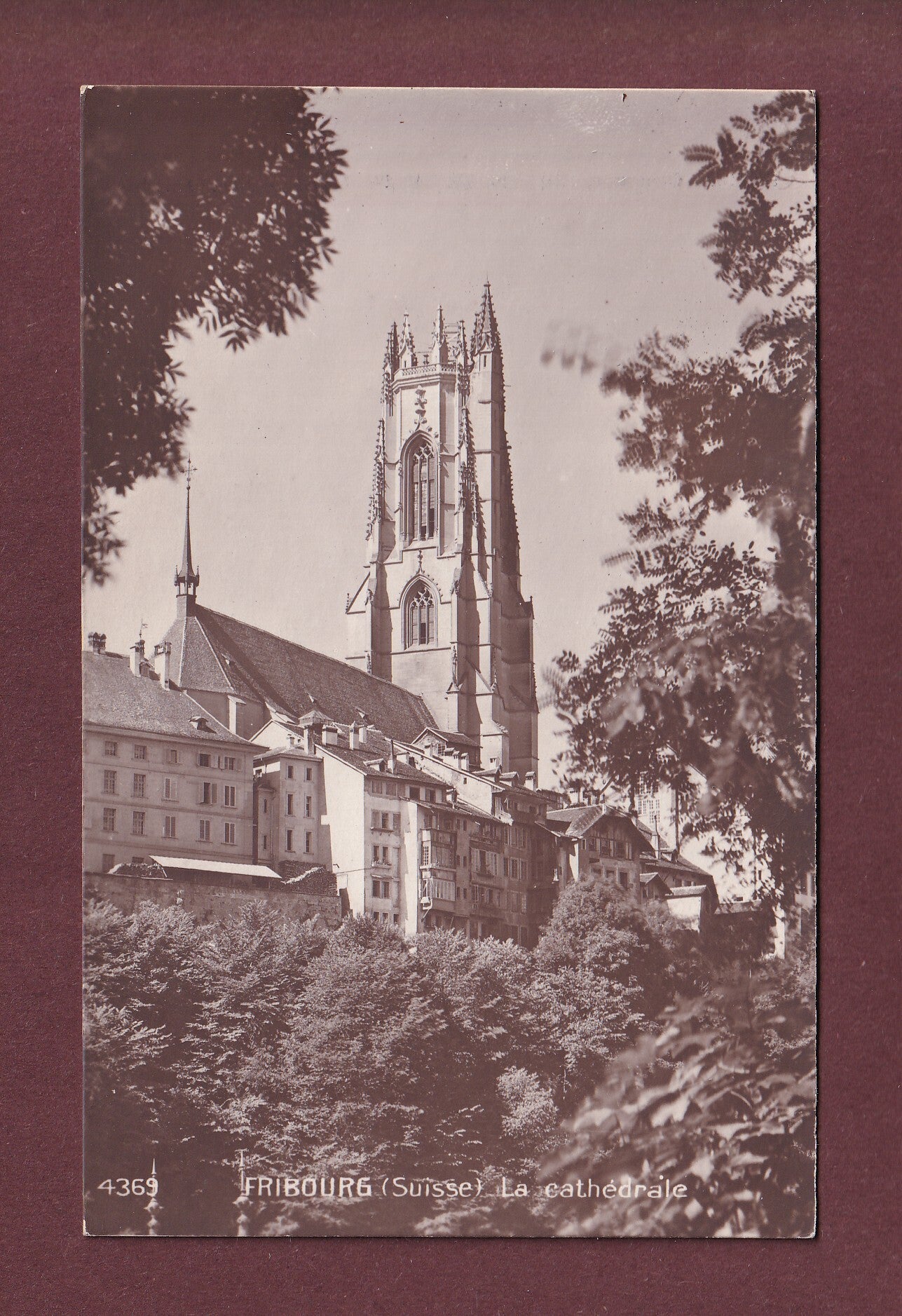 FRIBOURG - Cathédrale
