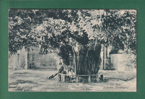 SELBORNE Churchyard - Ild Yew - 1909