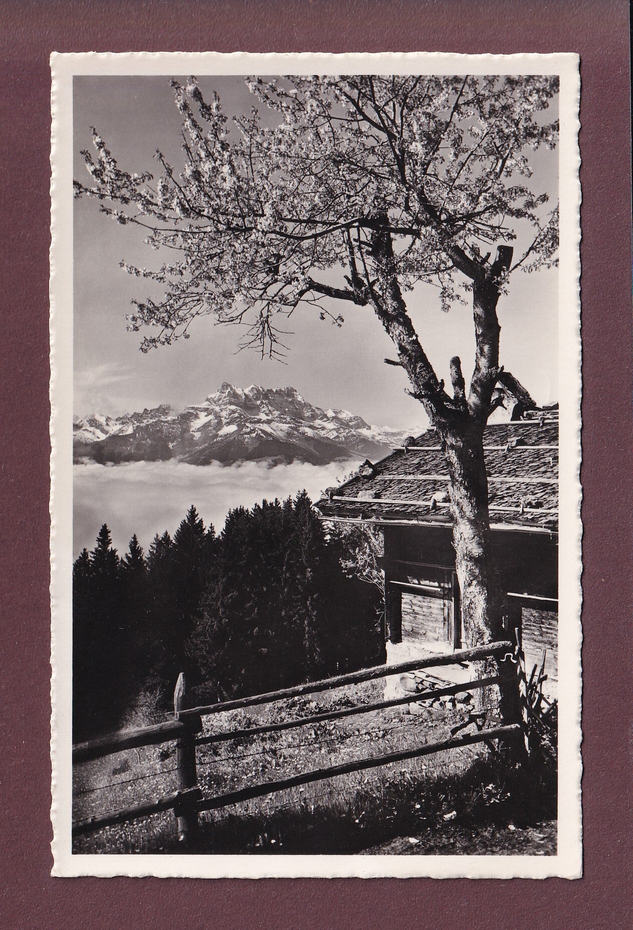 LEYSIN - Dents du Midi - 1960