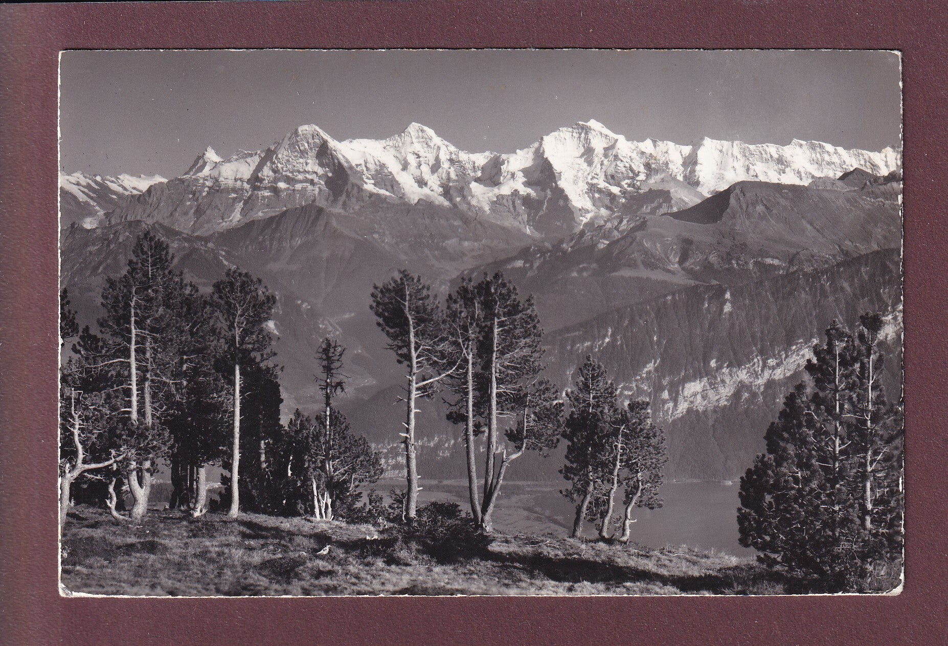 BEATENBERG-NIEDERHORN - 1959