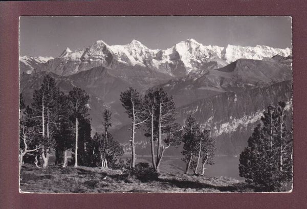 BEATENBERG-NIEDERHORN - 1959