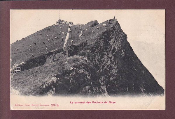 ROCHERS DE NAYE - Vaches - 1907