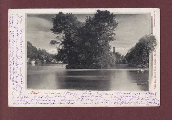 THUN - Die Aare Insel - 1902