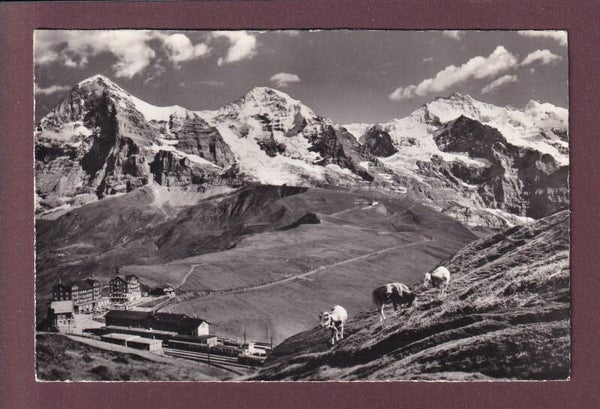 KLEINE SCHEIDEGG - 1954