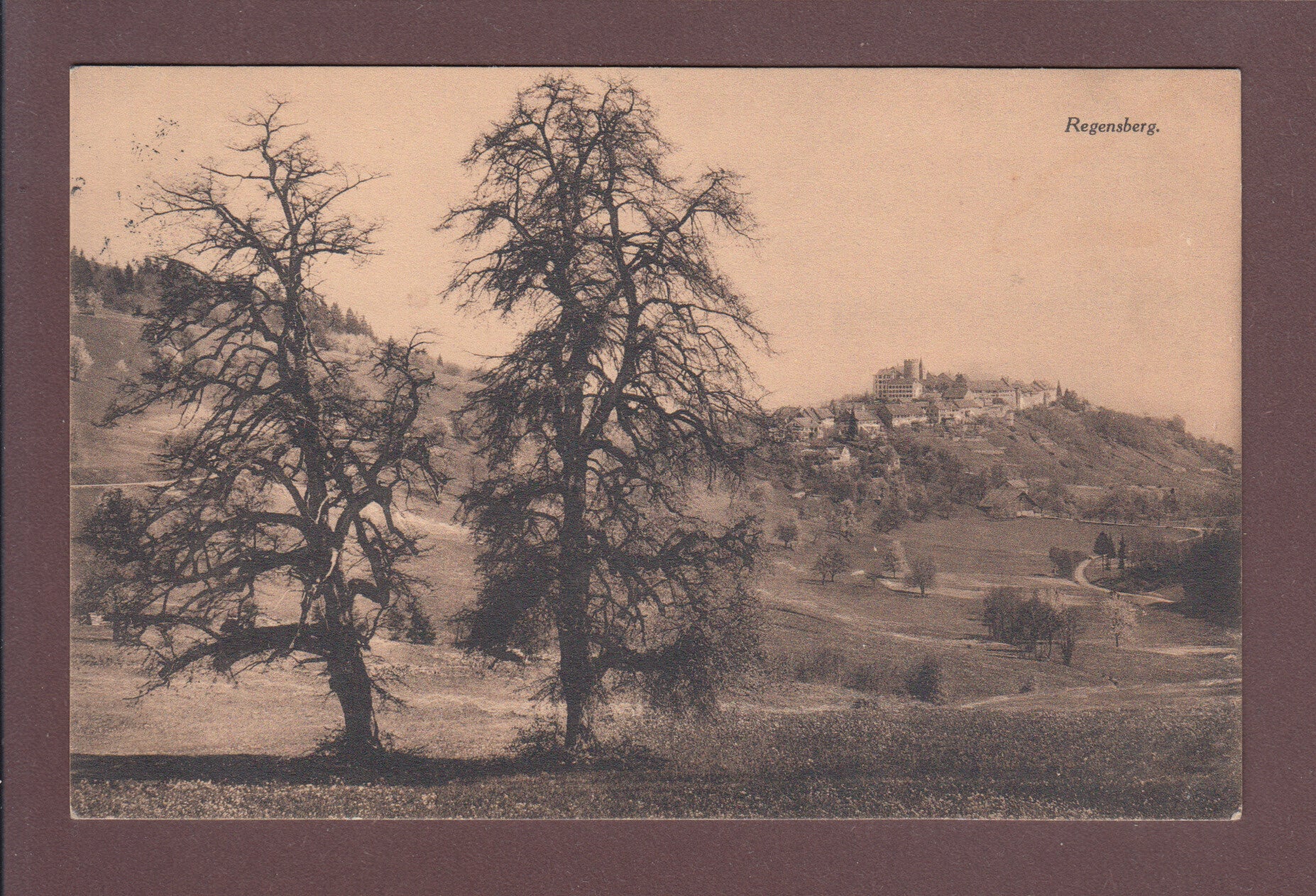 REGENSBERG - 1916