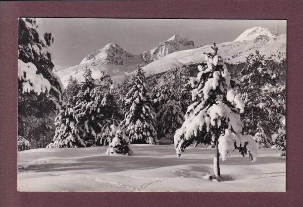 PIZ JULIER und Albana - 1956